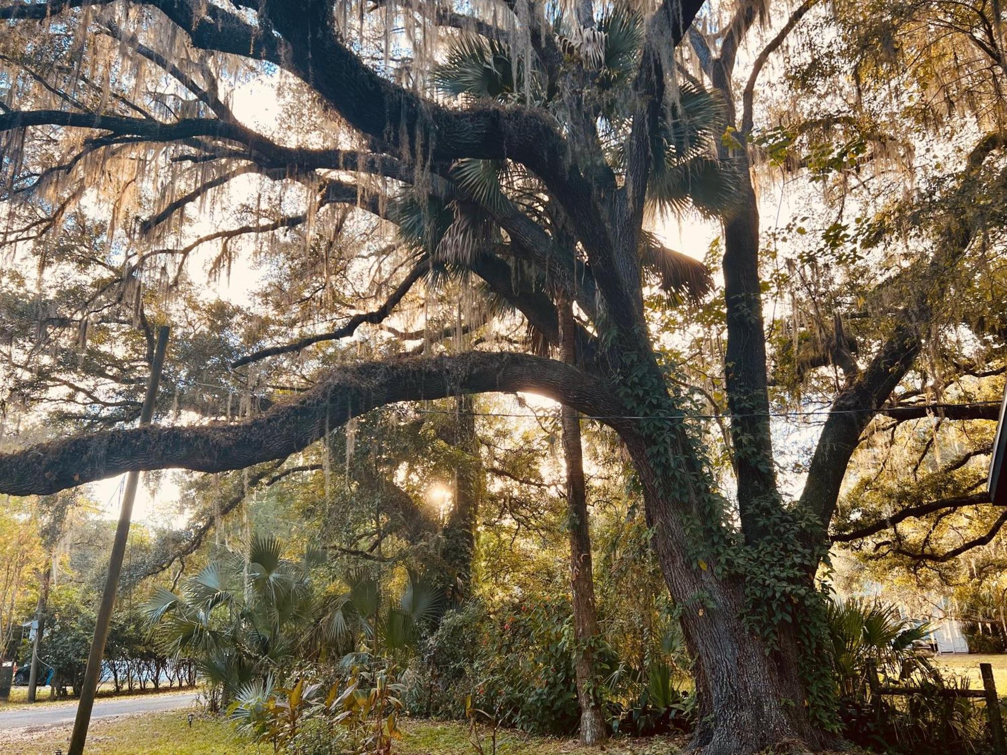 Country Welcome Micanopy Exterior foto